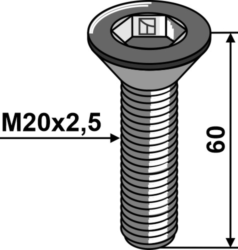 Винты с потайной головкой с внутренним шестигранником - M20x2,5